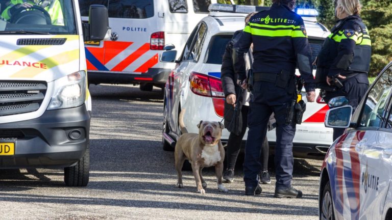 Ontsnapte hond valt man en hond aan in Emmen