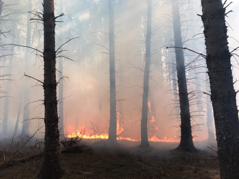 Natuurbrand in Oostersebos in Emmen