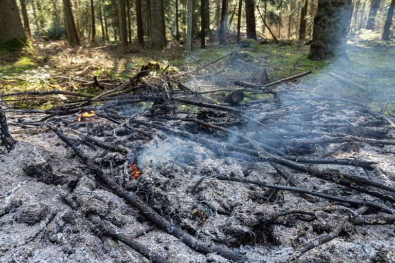Opnieuw meerdere bosbranden in de Emmerdennen bij Emmen