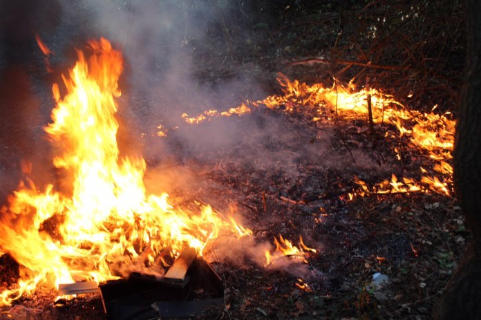 Opnieuw bosbrand in Emmen
