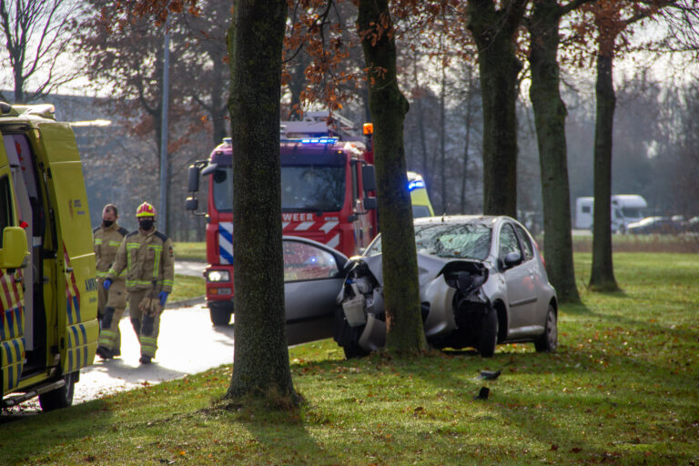 Automobiliste rijdt tegen boom in Emmen