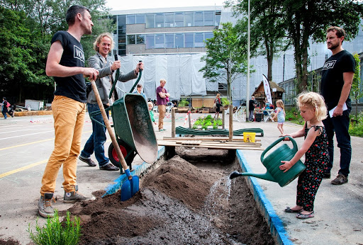 Steeds meer inwoners Drenthe vergroenen eigen omgeving